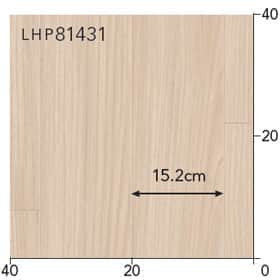 LHP81431s[g