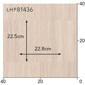 LHP81436s[g