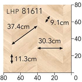 LHP81611s[g