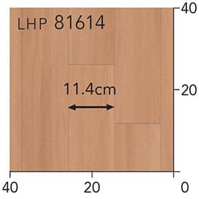 LHP81614s[g