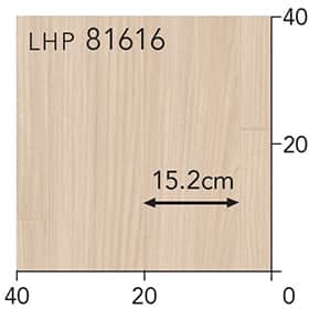 LHP81616s[g