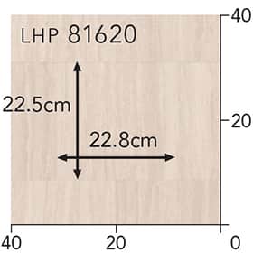 LHP81620s[g