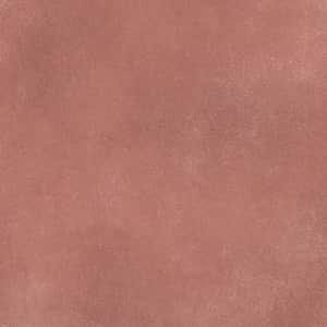 MBE-249