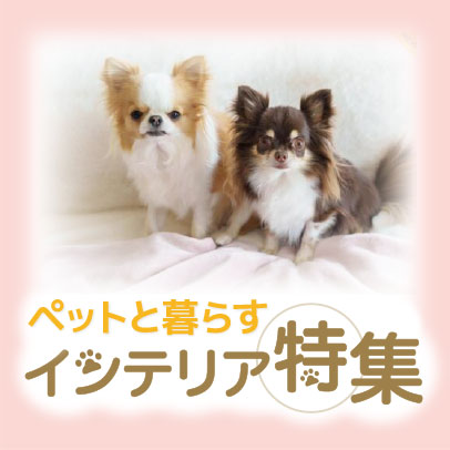 ペット特集