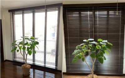 �O�����h�X�}�C���{�H�ʐ^