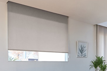 �j�`�x�C �\�t�B�[ �J�o�[�Z�p���[�g�^�C�v N8017 ���t�B�[