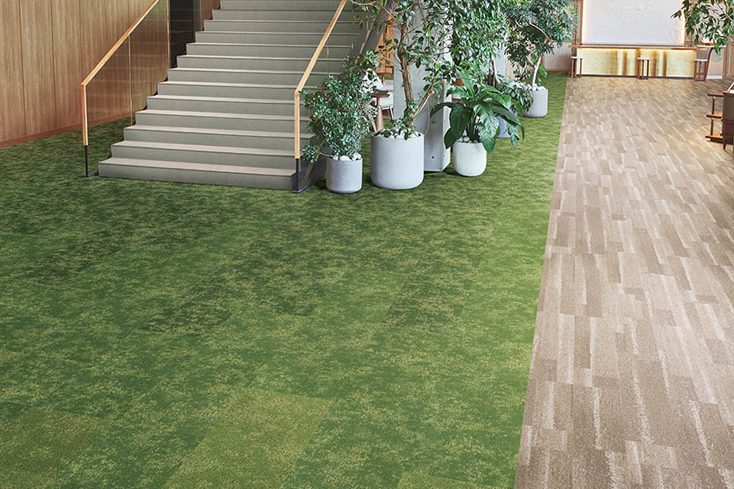 �^�C���J�[�y�b�g�̓\������v������� �R�����C���[�W