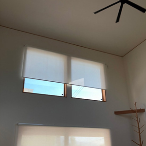 �X���B�G�ՔM