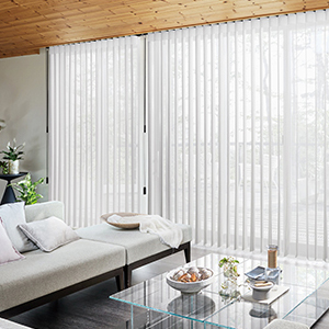 ドラマ「パンダより恋が苦手な私たち」