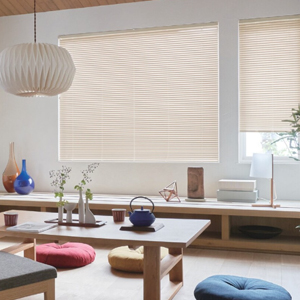 ドラマ「ラムネモンキー」