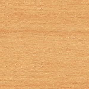 PL-803 CguE(ؖڒ)