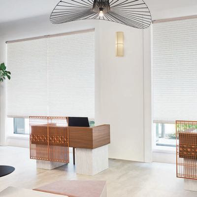 PS-5001 ��(�V���l�Y)