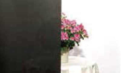 fB[vubN(DK) ˔MJbg 88%