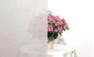 CgOC@(LG) ˔MJbg 76%