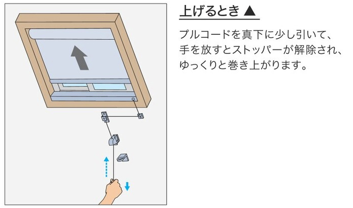 XN[̏グ