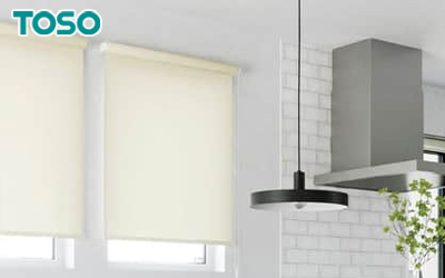 ルノプレーン抗ウイルス