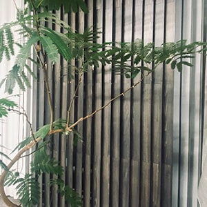 施工例04