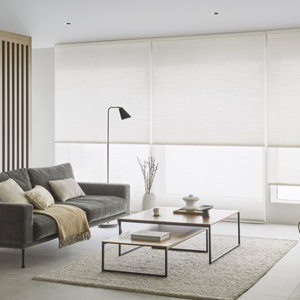 タチカワブラインド ホームタコス ブレア ペア