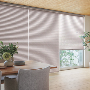 タチカワブラインド ホームタコス アフタービートエグゼ