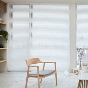 タチカワブラインド ホームタコス フォレティアエグゼ