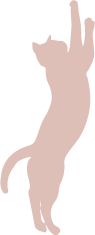 �f�R���[�V������