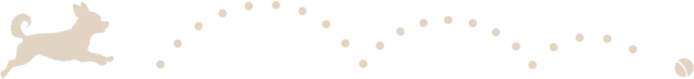 �f�R���[�V������