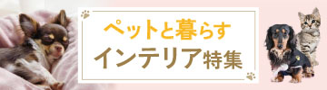 �y�b�g�p�C���e���A���W