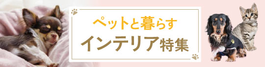 �y�b�g�p�C���e���A���W
