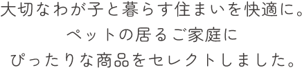 �X�^�b�t�������ߏ��i