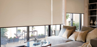 �j�`�x�C �\�t�B�[